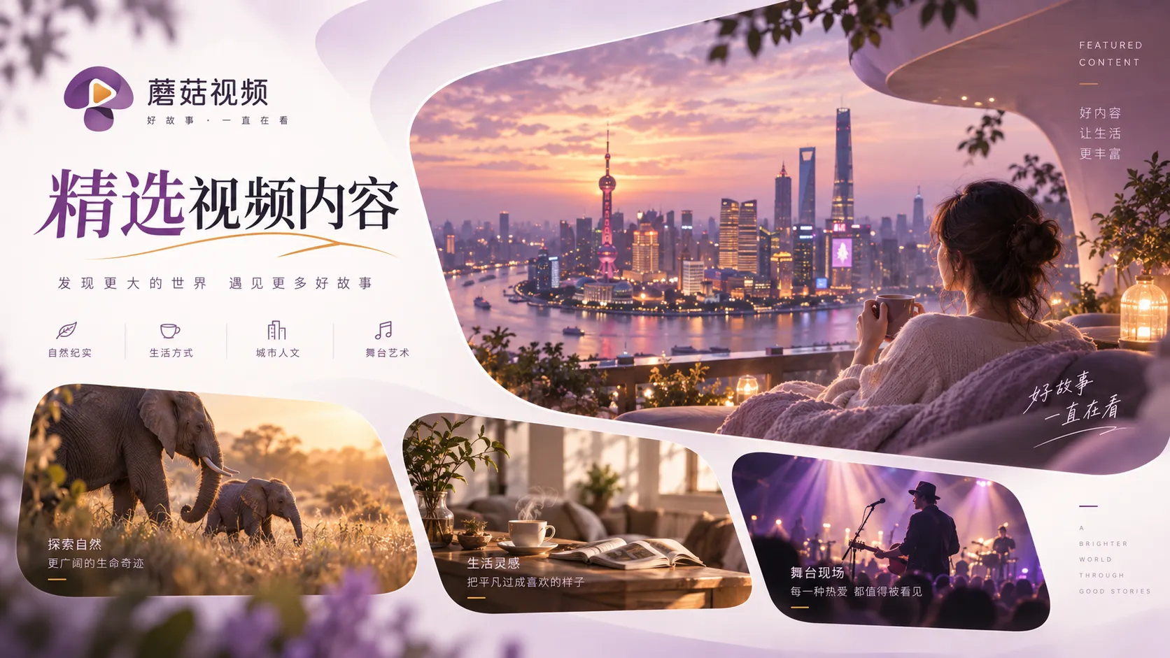蘑菇视频电影与剧集内容整理